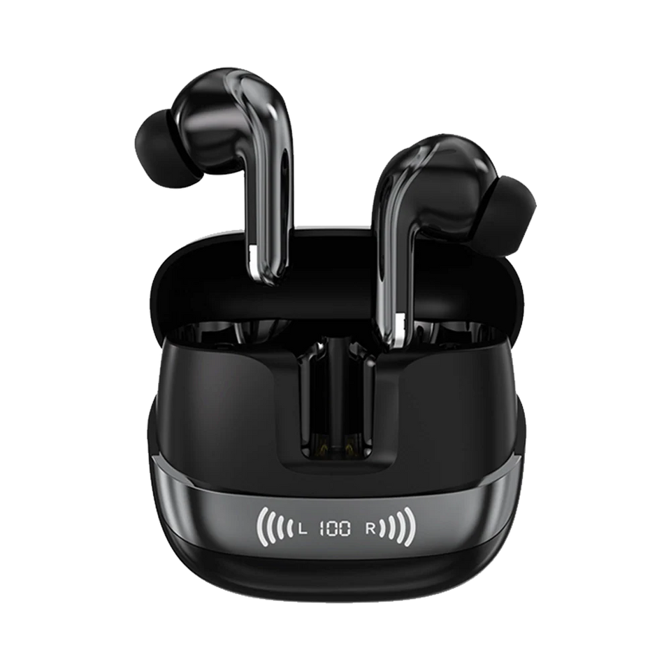 L-213 Earbuds