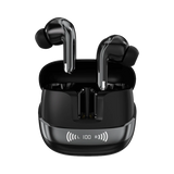 L-213 Earbuds