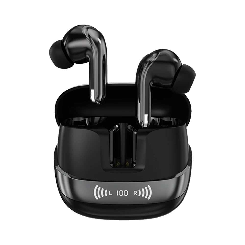 L-213 Earbuds