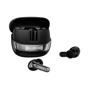 L-213 Earbuds