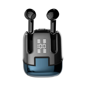 L-215 Dual Earbuds