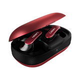 L-207 Earbuds