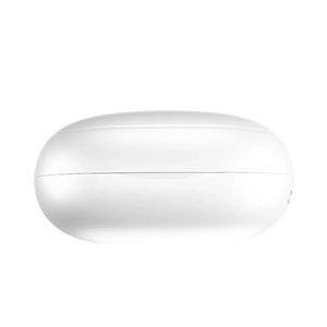 L-202 Earbuds