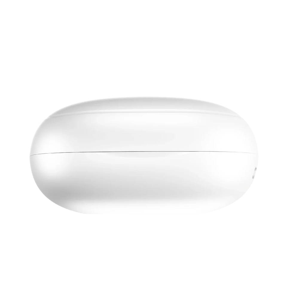 L-202 Earbuds